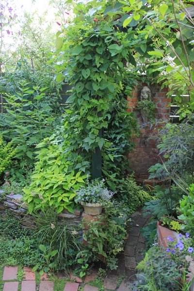 a0123003_2362232.jpg