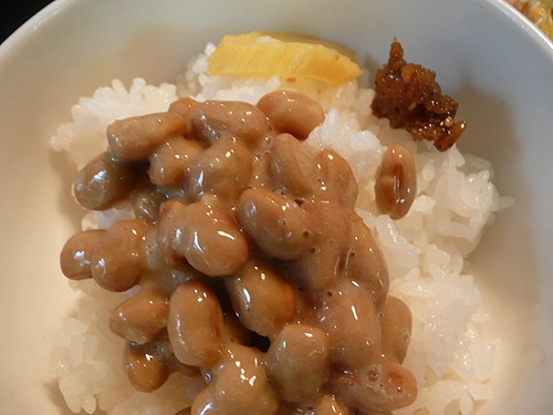 久々に普通のごはん_b0014003_15104879.jpg