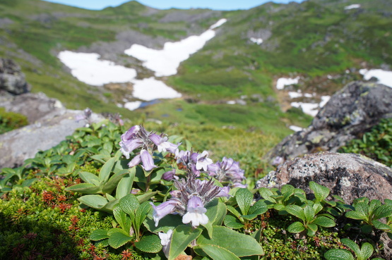 a0248508_10444470.jpg