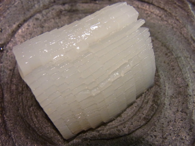 赤いか_f0157910_1683984.jpg