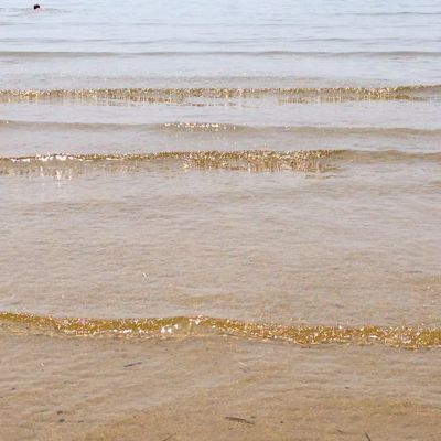夏休みはやっぱり海へ!_f0357923_1743652.jpg