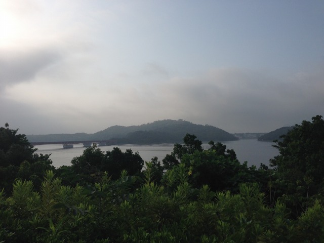 b0127531_8509.jpg