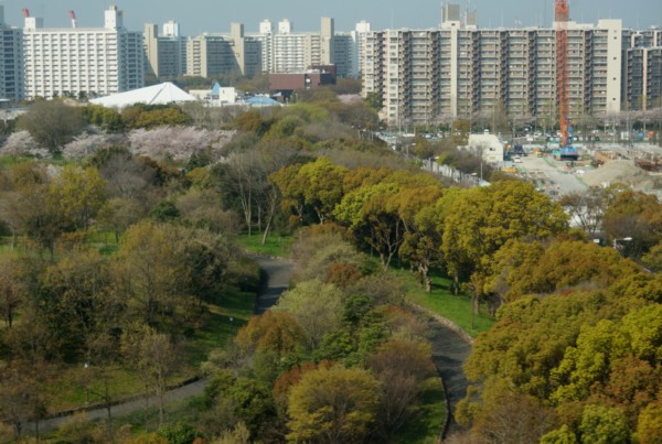 緑地のあるマンション_f0055131_8144340.jpg