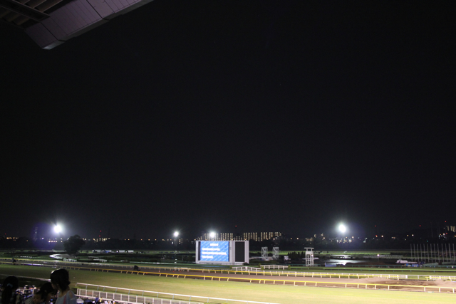 【府中東京競馬場】part 2_f0348831_21583435.jpg