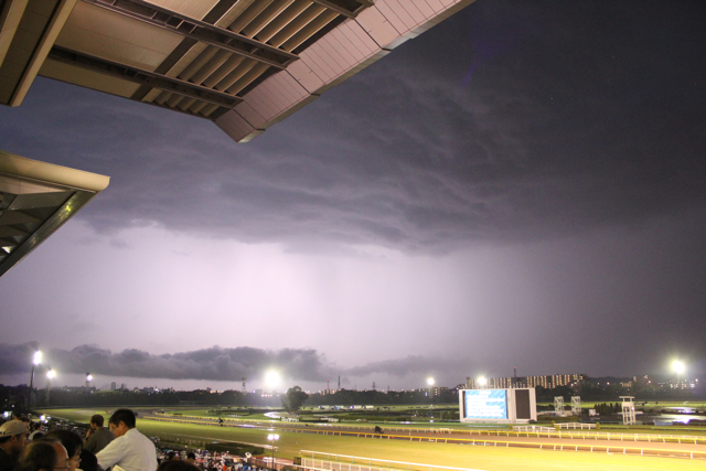 【府中東京競馬場】part 2_f0348831_21584050.jpg