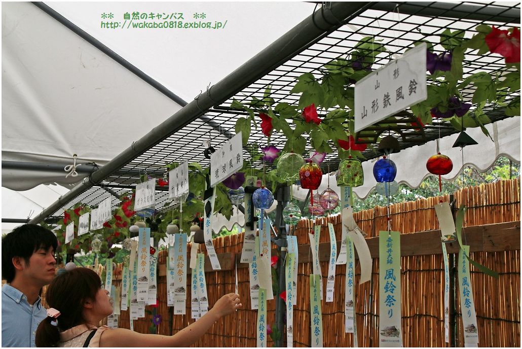14年西新井大師風鈴祭り 自然のキャンバス 14年西新井大師風鈴祭り 自然のキャンバス