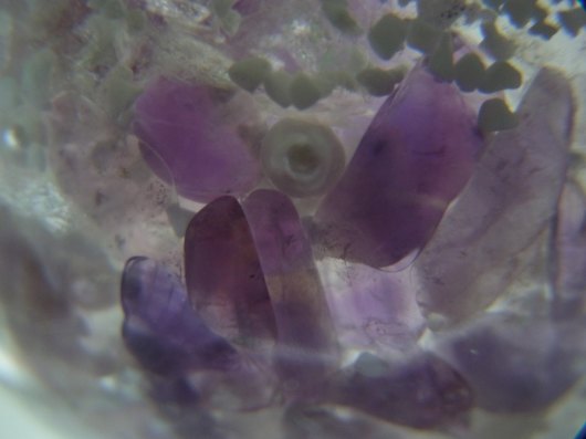 f0280238_20520301.jpg