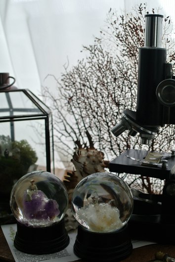 f0280238_20582519.jpg