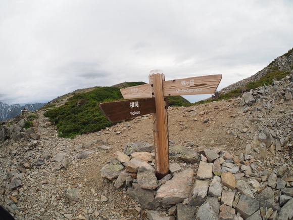 f0251840_1047685.jpg