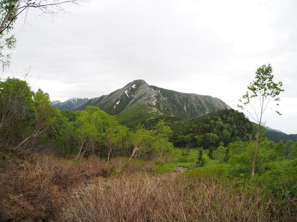 f0251840_10531322.jpg
