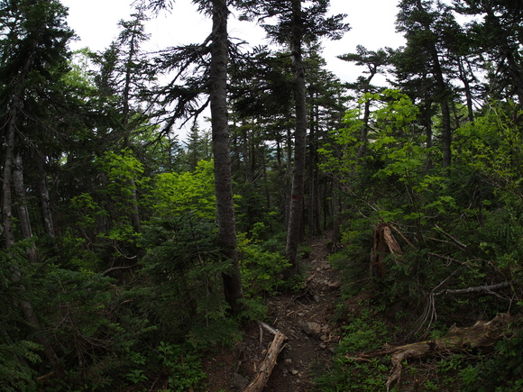 f0251840_10533034.jpg