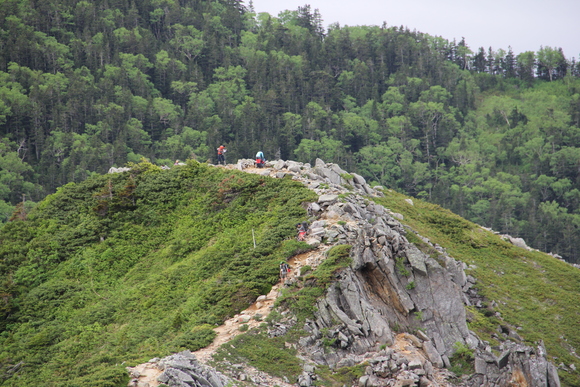 f0251840_13195477.jpg