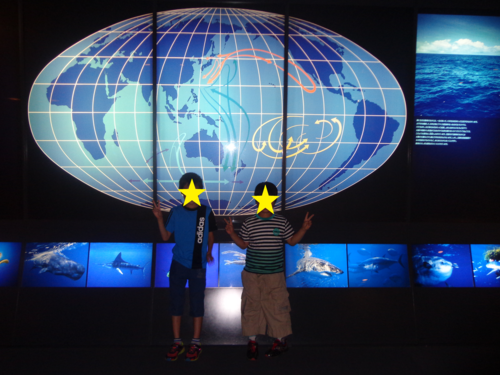 a0247041_943384.png