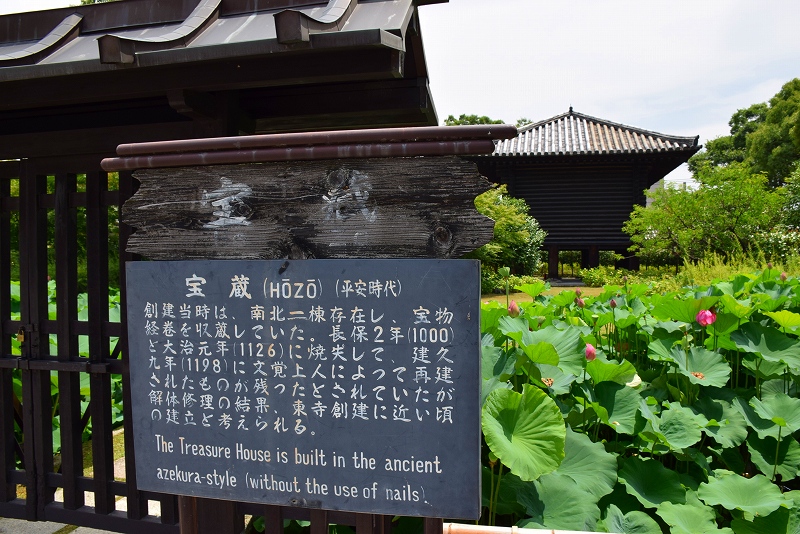 東寺のハス園20140712_e0237645_17563338.jpg