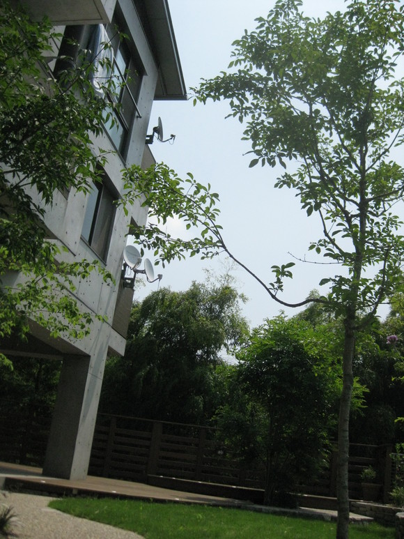 ビフォー・アフター (緑化編)_e0128446_14583069.jpg