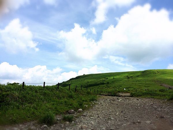 アルプスウォーク@霧ケ峰・車山高原_e0292546_22501432.jpg