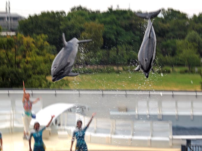 京都水族館へ飛びもん流し撮りを狙いに行く_e0022047_23053059.jpg