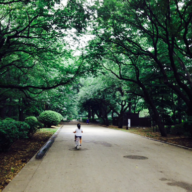 娘の夏休みと、miniature* Flower 2_e0172847_1011197.jpg