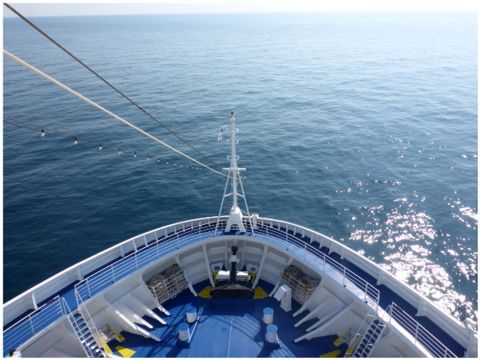e0210347_2115037.jpg