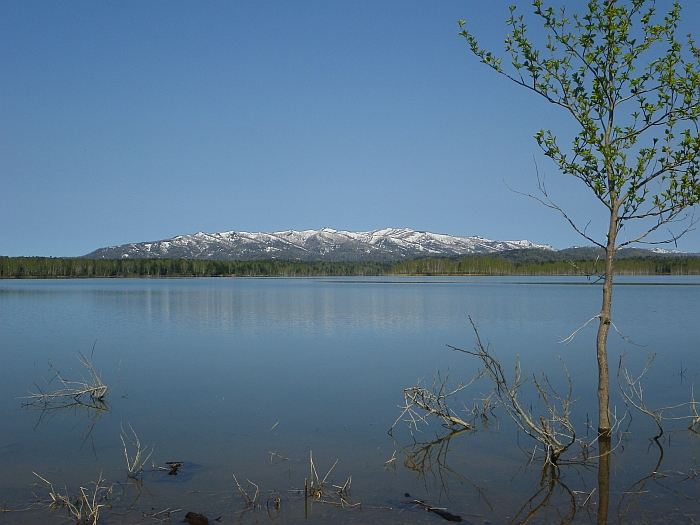 c0060452_20350670.jpg