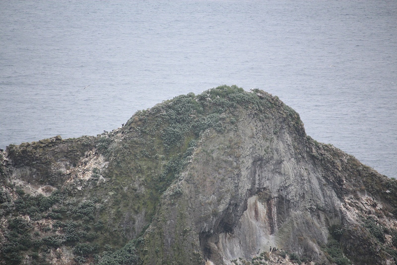 7月20日　亀田半島ドライブで　１　武井（ムイ）の島_b0250154_23283275.jpg