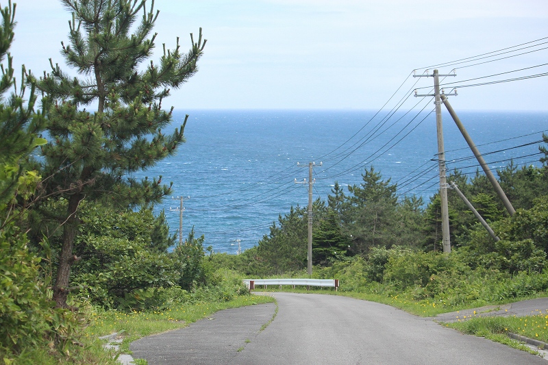 7月20日　亀田半島ドライブで　１　武井（ムイ）の島_b0250154_2330564.jpg