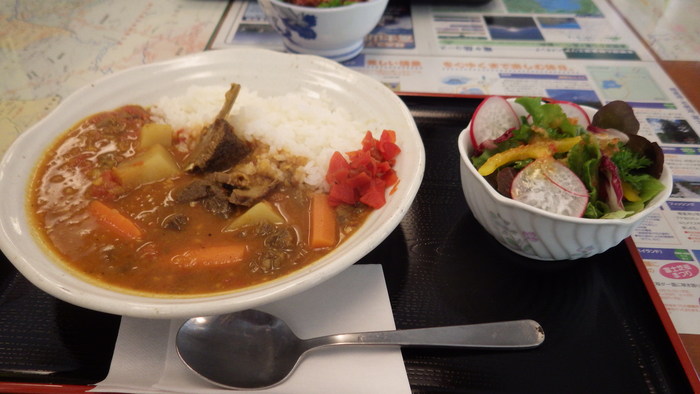 本栖湖　鹿肉カレー_e0142754_1157136.jpg