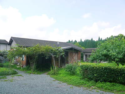 干したけのこ 自家製メンマを作ってみませんか?そして熊本のお盆にはコレ!棒鱈と干したけのこの煮物!!_a0254656_19131991.jpg
