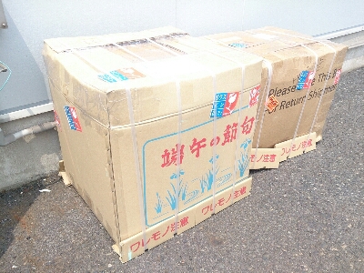 c0173159_2282792.jpg