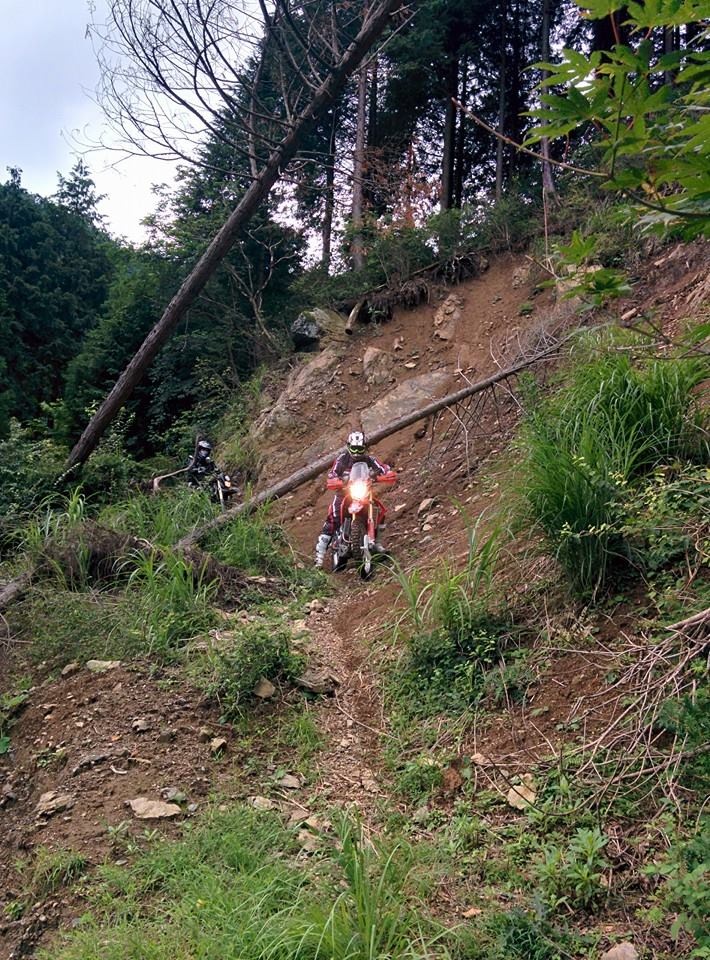 これだぜ　ＣＲＦ250Ｌ　で遊ぶナイスなロケーション_e0032163_18310944.jpg