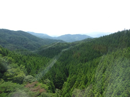 a0243064_15120781.jpg