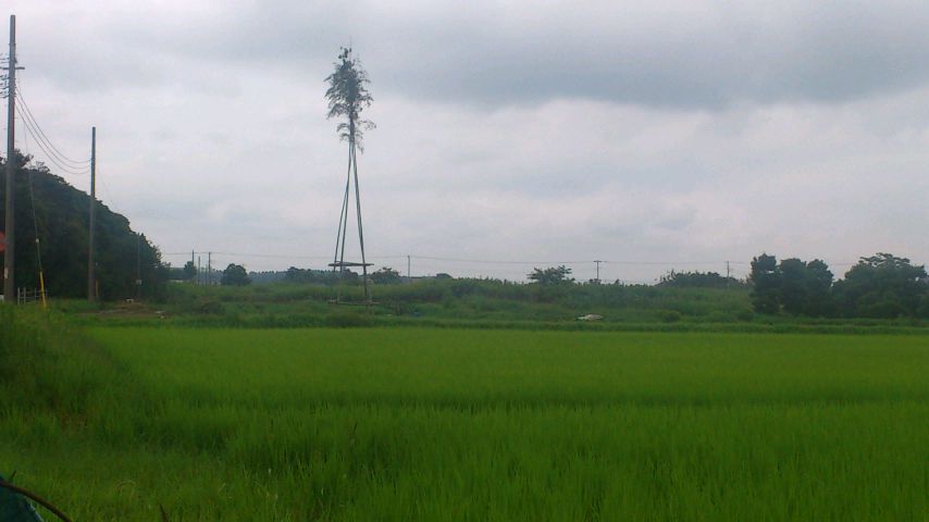 d0177266_8495851.jpg