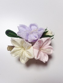 Oさんの撫子のクリップ_c0122475_21203742.jpg