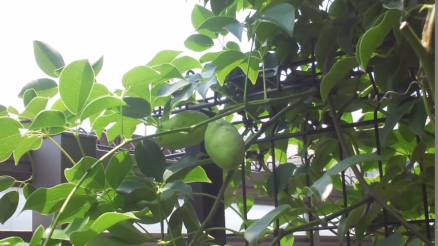 f0200477_21574539.jpg