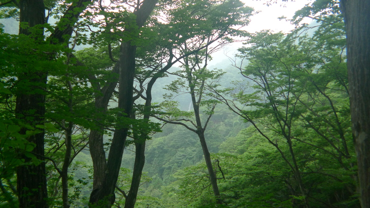c0212083_22491639.jpg