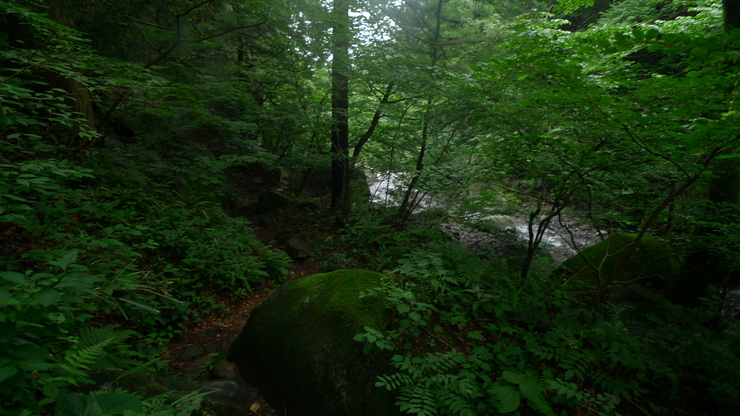 c0212083_22572295.jpg