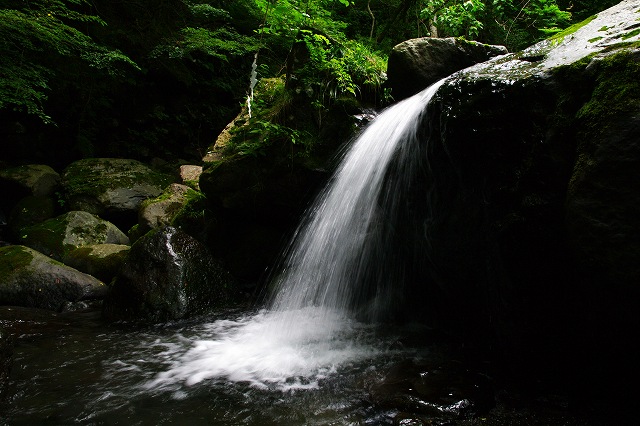 c0324983_08410848.jpg