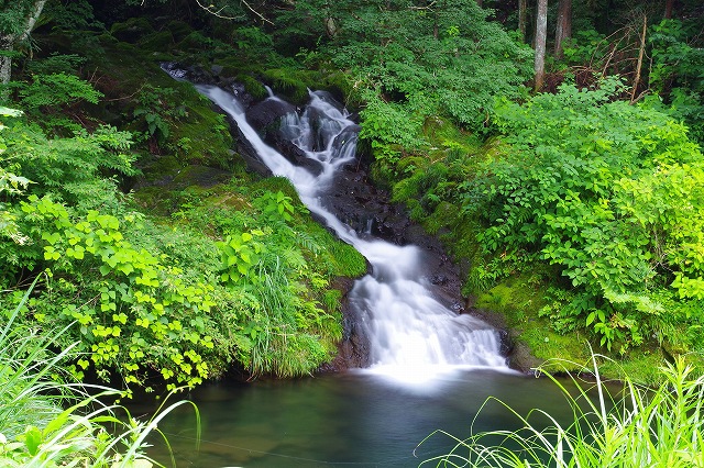 c0324983_09035790.jpg