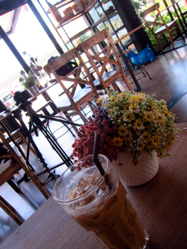 スター、あっさり登場!!_f0144385_15223259.jpg