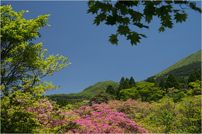 池の原園地_e0176993_6325690.jpg