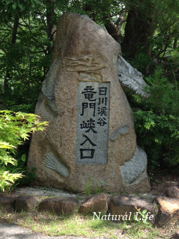 b0162000_06005452.gif