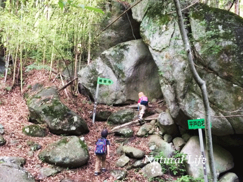 b0162000_06035513.gif