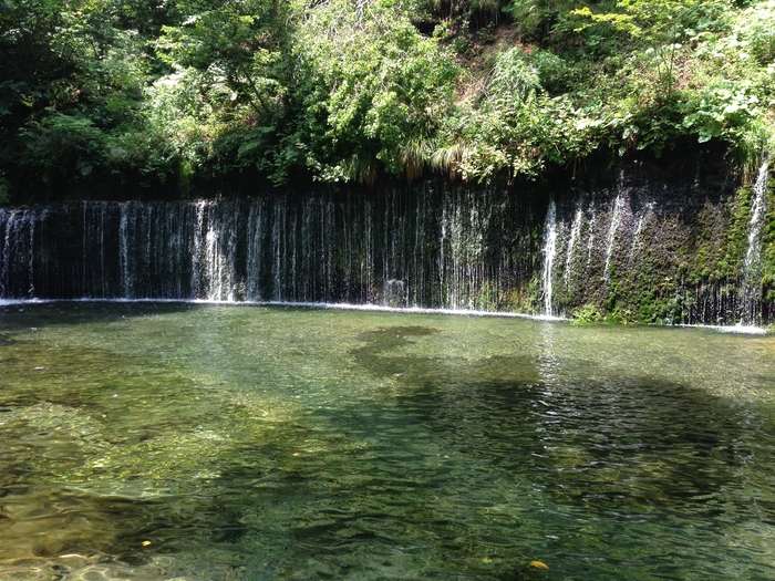 c0114110_840115.jpg