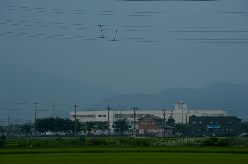 a0278914_73486.jpg