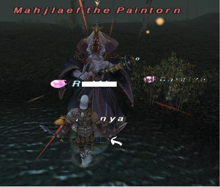あついねぇ(´;ω;`)_f0063726_1615295.jpg