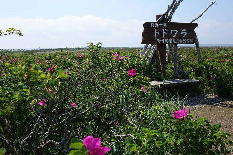 能取岬・神の子池・トドワラ_c0132230_16341212.jpg