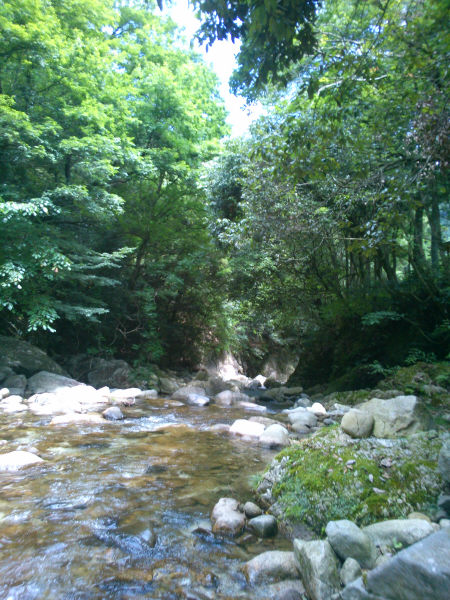 f0063532_21355675.jpg