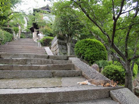 c0229234_122198.jpg