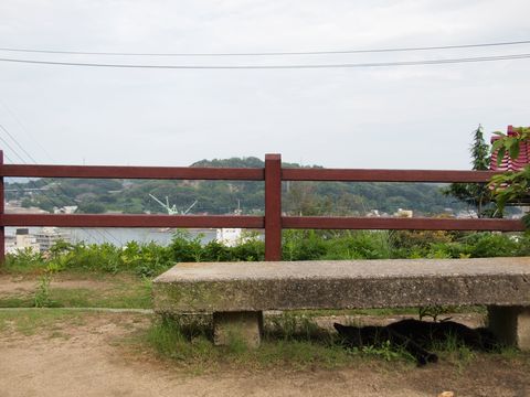 c0229234_124478.jpg