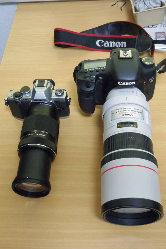 M Zuiko Digital Ed 75 300mm F4 8 6 7 売却済み 川の鳥見日記2 M Zuiko Digital Ed 75 300mm F4 8 6 7 売却済み 川の鳥見日記2